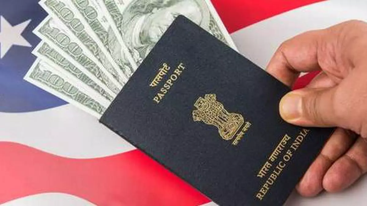 Us Move To Abolish H 4 Visas Set To Impact Indians The Hindu Businessline 